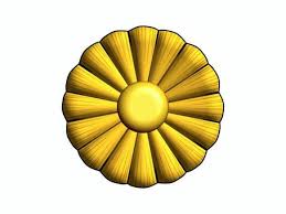 Image result for 弁護士バッジ