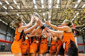 Image result for Engineering Services Netball Club