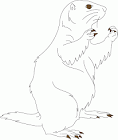 Prairie Dog coloring page