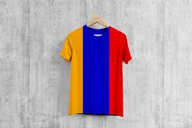 Image result for Футболка с флагом армении