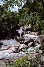 Image result for Atherton Devils