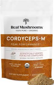Attēlu rezultāti vaicājumam “Cordyceps”