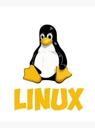 Image result for linux penguin