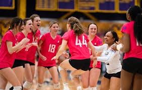 Image result for Devizes Volleyball Club