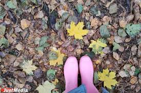 Image result for Приметы