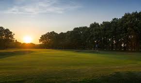 Image result for Old Fold Manor Golf Club Ltd