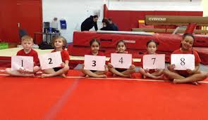 Image result for Stockport School Of Gymnastics