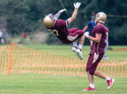 Image result for Ipswich Cardinals American Football Club