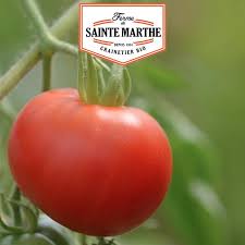 Afbeeldingsresultaat voor bloody butcher tomato
