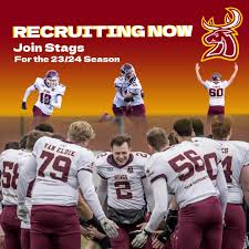 Image result for Southampton Stags