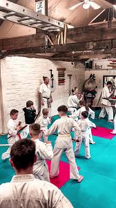 Image result for Chikara Dojo Of Kyokushin Karate