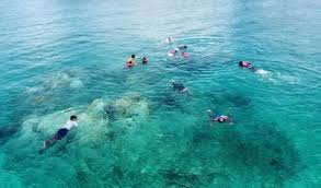 Image result for Ruislip Snorkelling Club