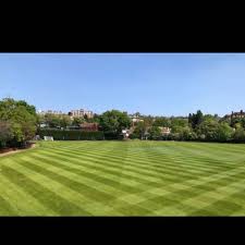 Image result for Tynedale Cricket Club