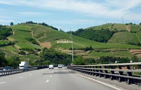 Image result for rôtie