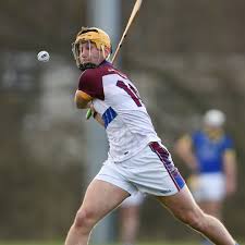 Image result for University Of Limerick Gaa Hurling Club