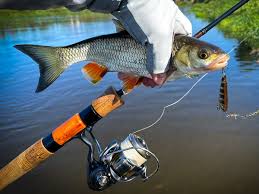 Image result for рыбалка