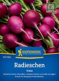 Image result for Radieschen