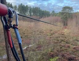 Image result for The Go Ape Experience (Delamere Forest)