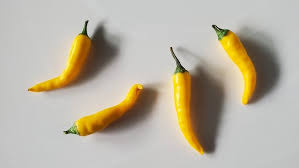 Afbeeldingsresultaat voor thai yellow hot pepper