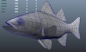 Image result for Morone chrysops