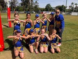 Image result for Newdigate Netball Club