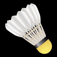 Image result for Basingstoke Racketeers Badminton Club