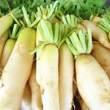 Image result for Rettich