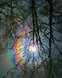 Attēlu rezultāti vaicājumam “pollen corona”