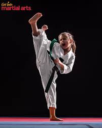 Image result for Get Into Martial Arts
