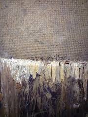 Attēlu rezultāti vaicājumam “Comatricha meandrispora”