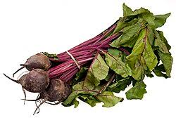 Image result for Beta vulgaris