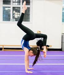 Image result for Brighton & Hove Gymnastics Club