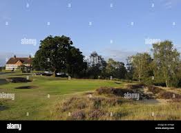 Image result for Reigate Heath Golf Club