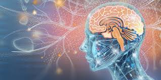 Image result for consciousness