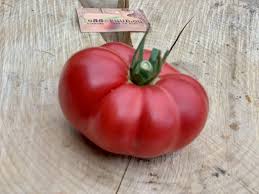 Afbeeldingsresultaat voor millionaire tomato