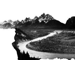 Image result for Ansel Adams Aspens New Mexico