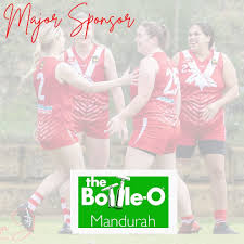 Image result for Dominos Netball Club