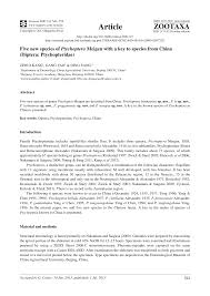 Attēlu rezultāti vaicājumam “Ptychoptera sp.”