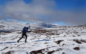 Image result for Tyneside Loipers