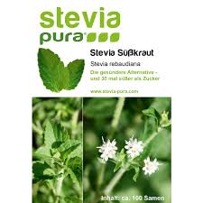 Image result for Stevia rebaudiana