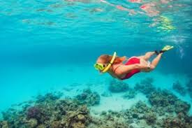 Image result for Ruislip Snorkelling Club