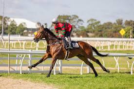 Image result for Fisher Equestrian