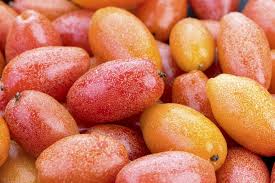 Attēlu rezultāti vaicājumam “Campanula latifolia fruit”