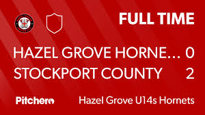Image result for Hazel Grove United JFC