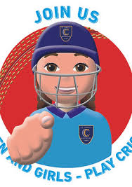 Image result for St James casuals cricket club