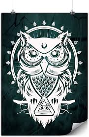 Image result for owl illuminati symbol