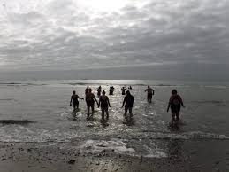Image result for Isle Of Wight Swim Team