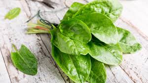 Image result for Sauerampfer