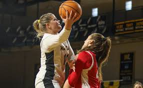 Image result for Arrows Basketball Club