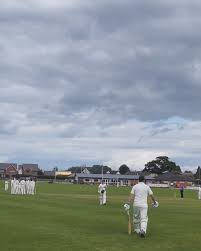 Image result for Luctonians Cricket Club